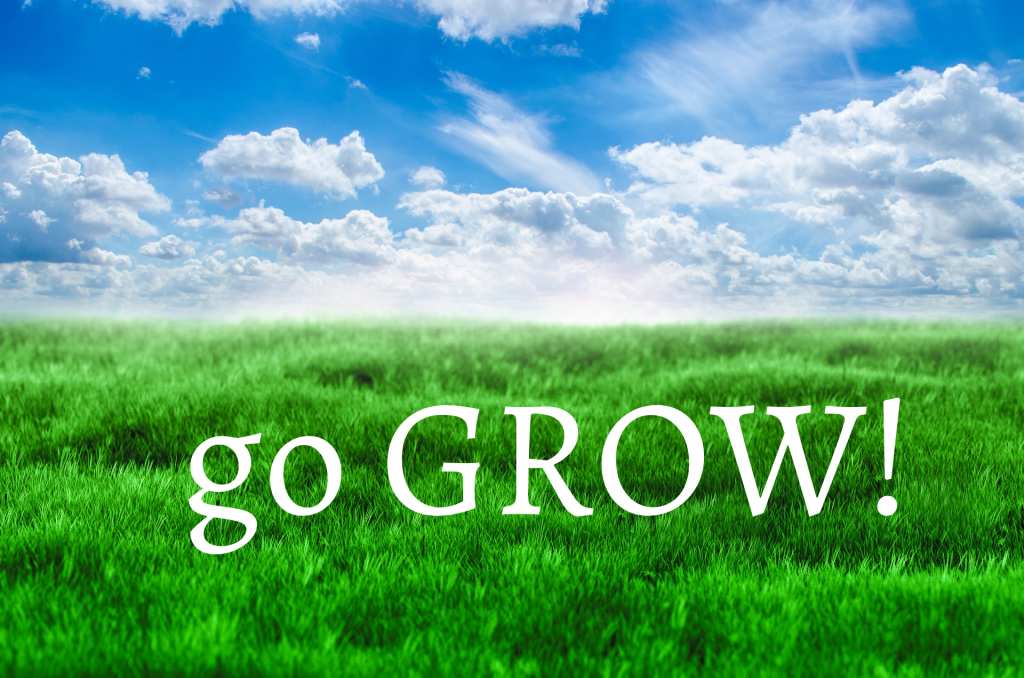 go GROW! Blue skies and green grass